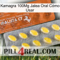 Kamagra 100Mg Jalea Oral Cómo Usar 42